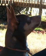 Enlarge photo 11