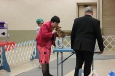 Enlarge photo 5