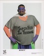 Enlarge photo 1296