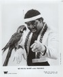 Enlarge photo 120