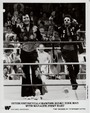 Enlarge photo 170