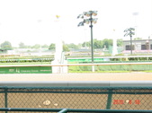 Enlarge photo 39