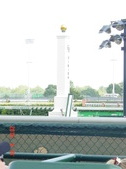 Enlarge photo 40