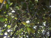 Enlarge photo 45