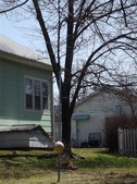 Enlarge photo 46