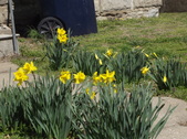 Enlarge photo 51