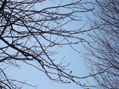 Enlarge photo 52
