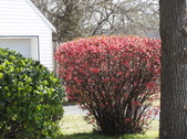 Enlarge photo 53