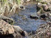 Enlarge photo 55
