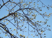 Enlarge photo 59