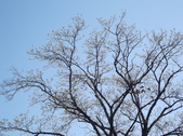 Enlarge photo 61