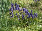 Enlarge photo 63