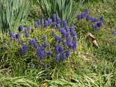 Enlarge photo 64