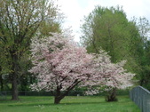 Enlarge photo 87