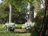 Enlarge photo 98