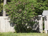Enlarge photo 99