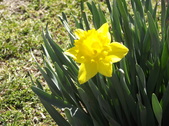 Enlarge photo 35