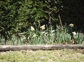 Enlarge photo 41