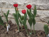 Enlarge photo 91