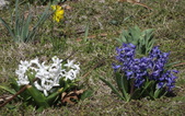 Enlarge photo 70