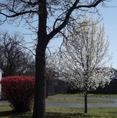 Enlarge photo 71