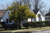 Enlarge photo 31