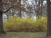 Enlarge photo 82
