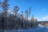Enlarge photo 30