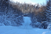 Enlarge photo 33