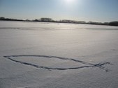 Enlarge photo 26