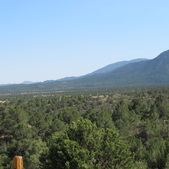 Enlarge photo 21