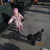 Enlarge photo 6