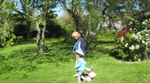 Enlarge photo 19