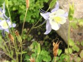 Enlarge photo 22