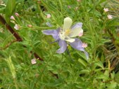 Enlarge photo 23