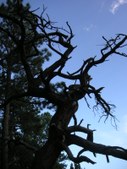 Enlarge photo 19