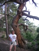 Enlarge photo 20