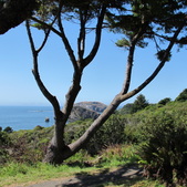 Enlarge photo 5