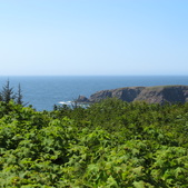 Enlarge photo 7
