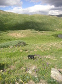 Enlarge photo 14