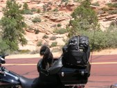 Enlarge photo 20