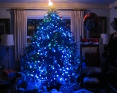 Enlarge photo 10