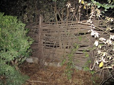 Enlarge photo 46