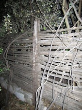 Enlarge photo 47