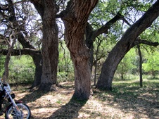 Enlarge photo 103