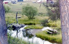 Enlarge photo 5
