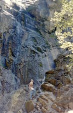 Enlarge photo 105