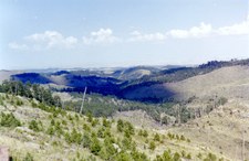 Enlarge photo 123