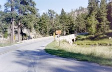 Enlarge photo 126