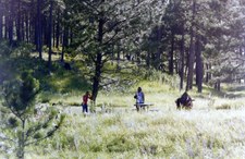 Enlarge photo 127